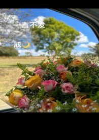 满堂文武众爱卿为何一言不发