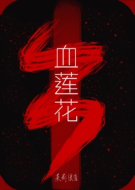 血莲花小说讲什么